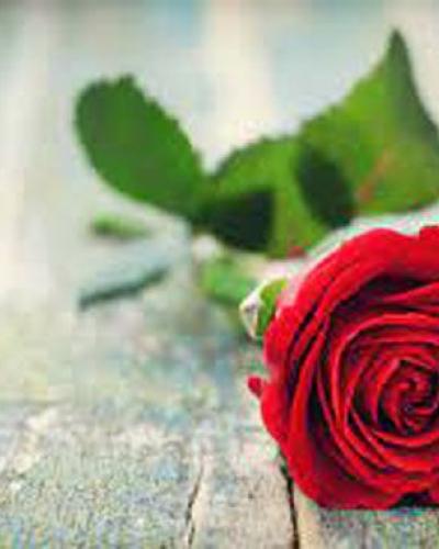 Geneviève PARÉE