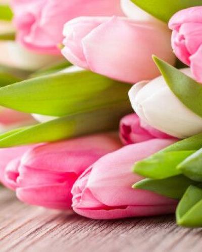 Marie-Louise DUBREUCQ